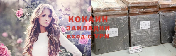 твердый Дмитровск