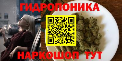 ALPHA PVP Донской