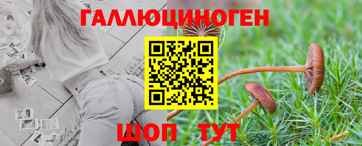 Псилоцибиновые грибы MAGIC MUSHROOMS Набережные Челны