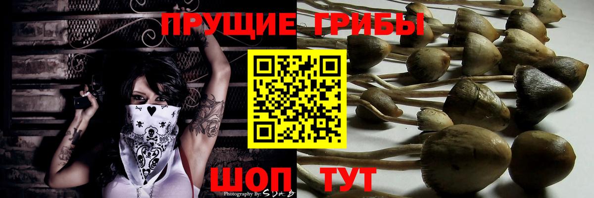 Набережные Челны  Псилоцибиновые грибы мицелий  Галлюциногенные грибы мухоморы  где найти   Вход с VPN 